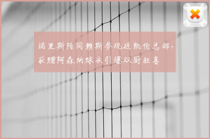 诺里斯陪同赖斯参观迈凯伦总部，获赠阿森纳球衣引爆双厨狂喜